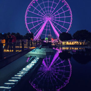 Wheel par France Paquette